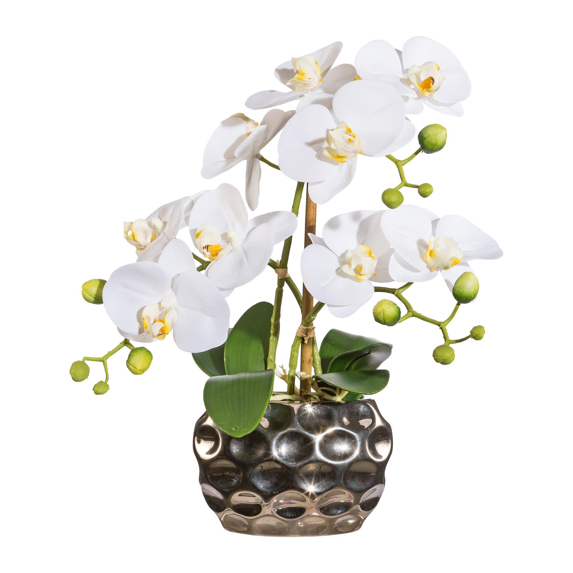 Kunstpflanze Orchideen, Weiß Topf: Silberfarben, H: 30 Cm - Silberfarben/Weiß, Design, Kunststoff (30cm) - P & B