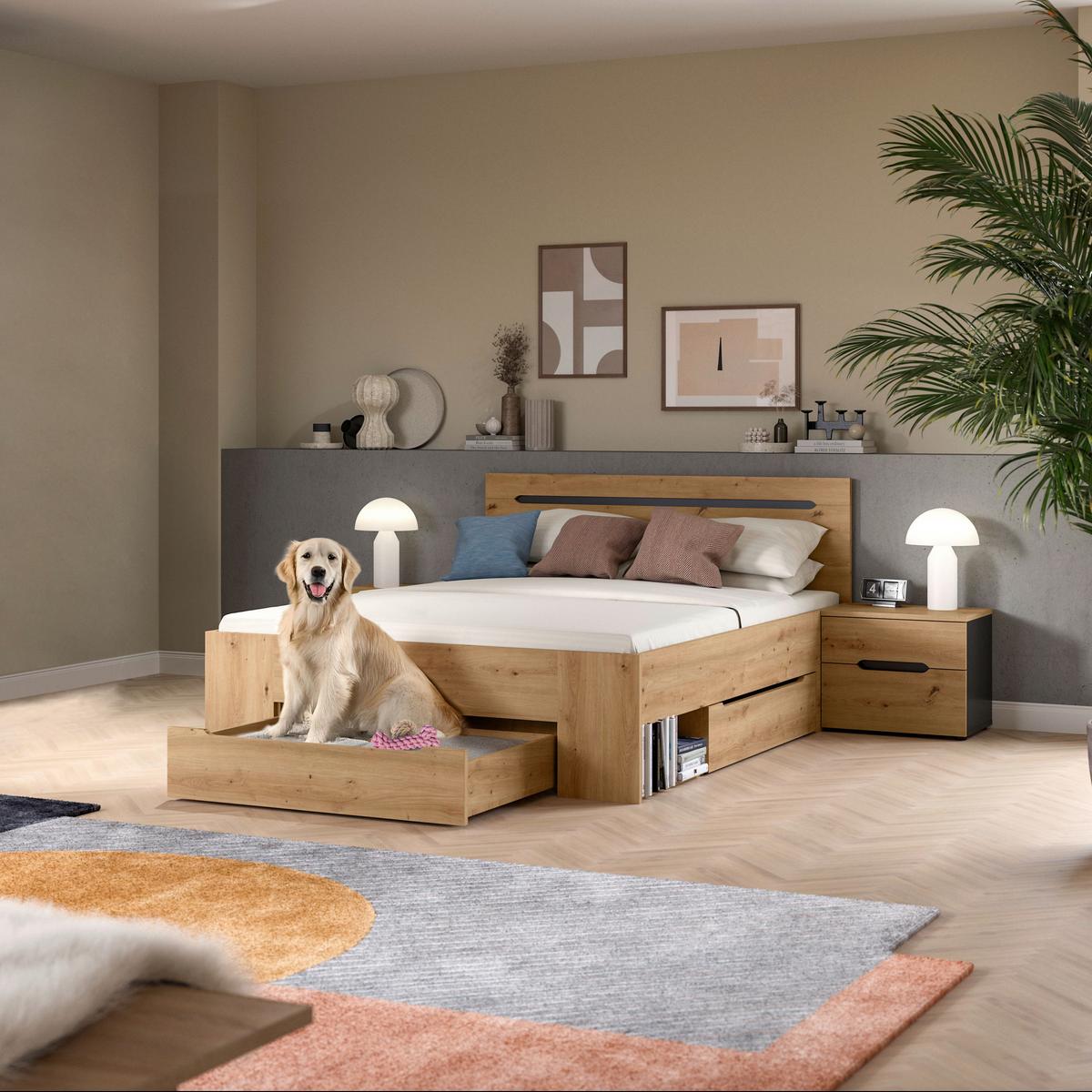 Schlafzimmer Canu Grau /Eiche Artisan Dekor B: 244cm - Eiche Artisan/Grau, MODERN, Holzwerkstoff (244/87/205cm) - MID.YOU