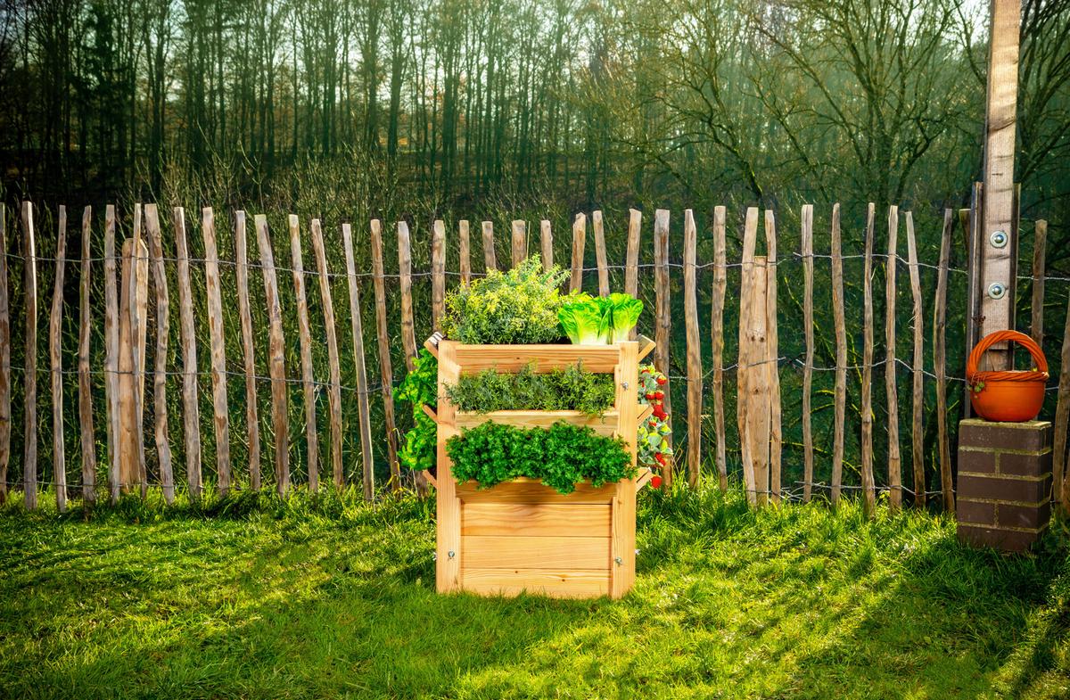 Hochbeet Echtholz Lärche 65x73x65 cm - Lärchefarben, Basics, Holz (65/73/65cm)