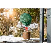 Winter-vlies, Grün Bxl: 160x1000 Cm - Grün, Basics, Kunststoff (160/1000cm) - Windhager