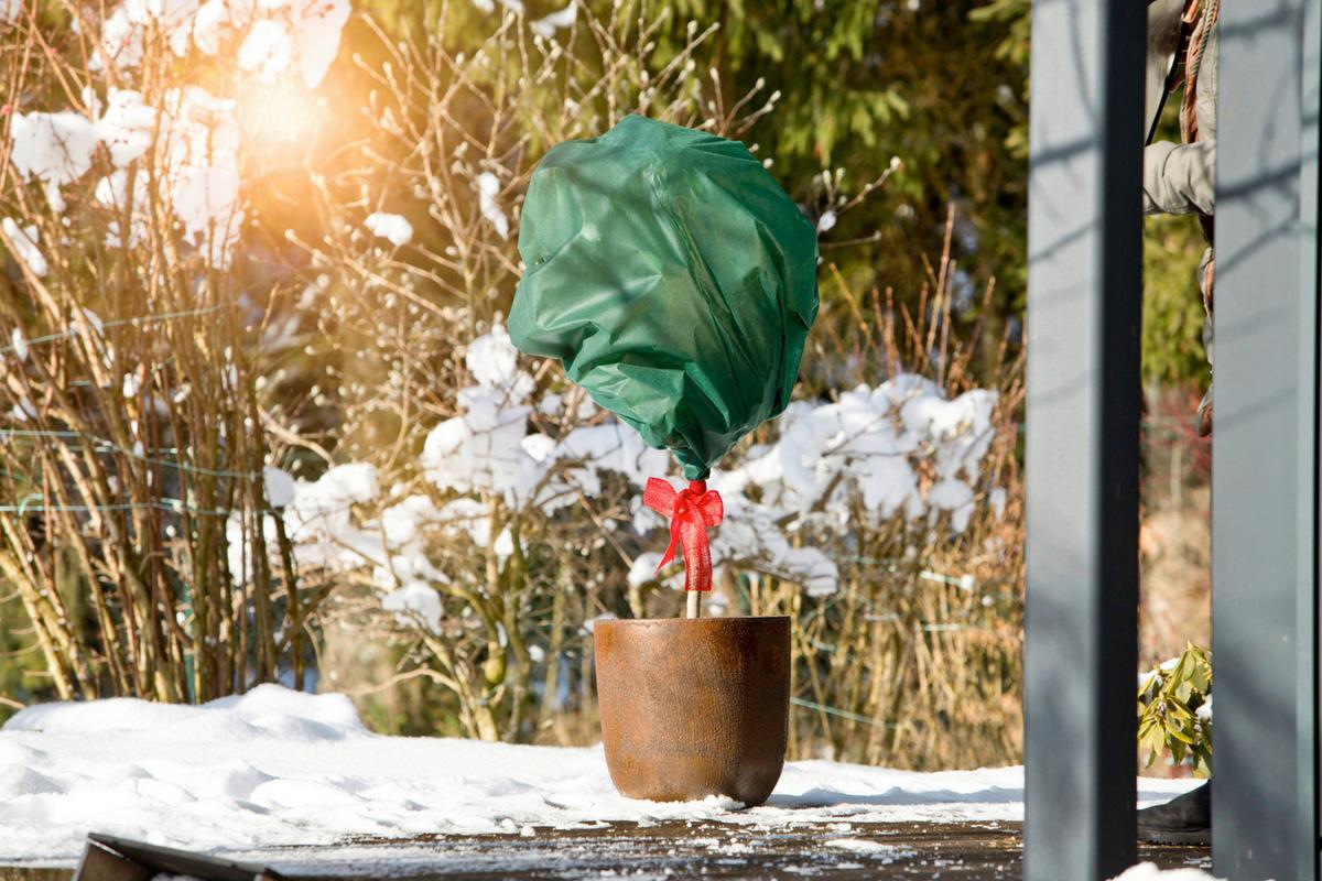 Winter-vlies, Grün Bxl: 160x1000 Cm - Grün, Basics, Kunststoff (160/1000cm) - Windhager