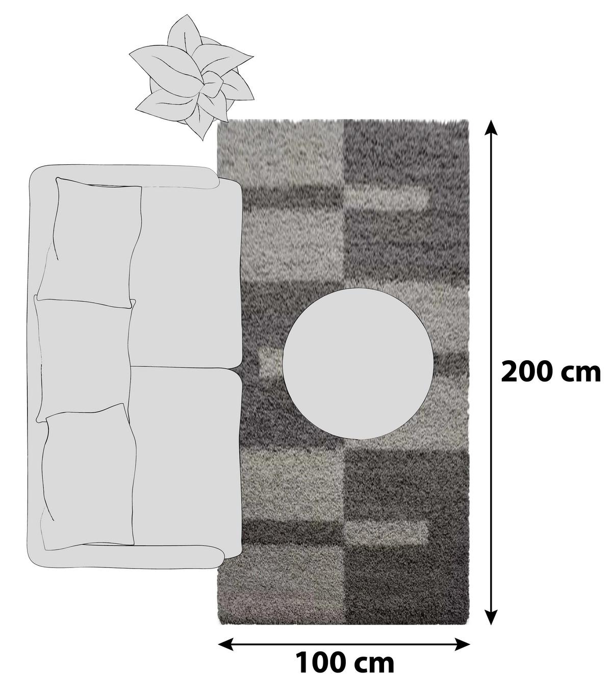 Hochflor Teppich Taupe Gala 100x200 Cm - Taupe, Design, Textil (100/200cm)