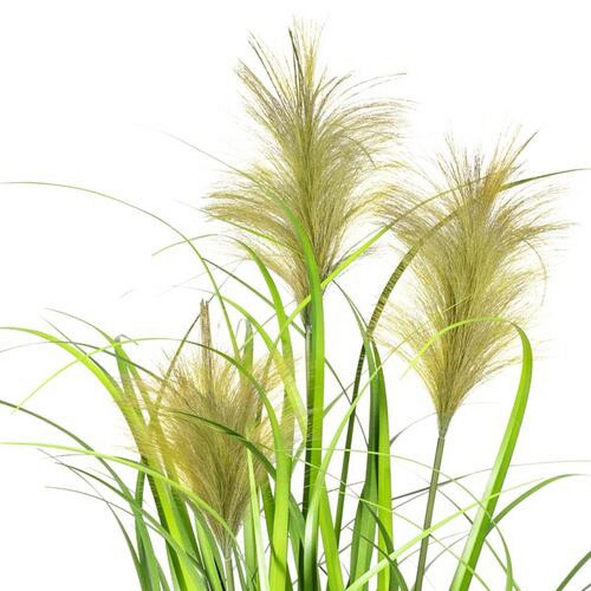 Kunstpflanze Schilfgras Grün, inkl. Topf, H: 60 cm - Schwarz/Grün, Basics, Kunststoff (60cm) - P & B