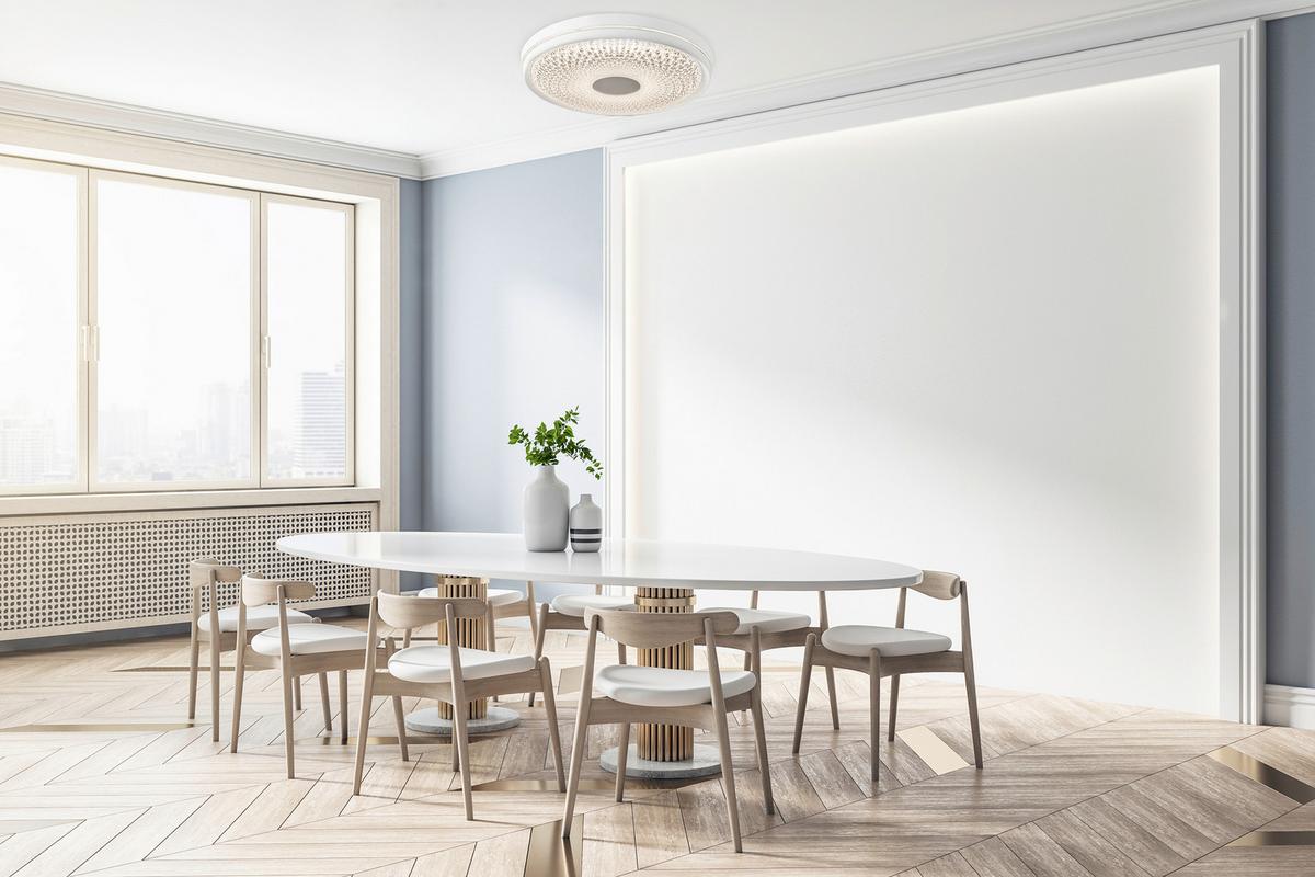 LED-Deckenleuchte Boise Ø 51 cm dimmbar mit Fernbedienung - Klar/Weiß, KONVENTIONELL, Kunststoff/Metall (51/8,5cm) - Näve