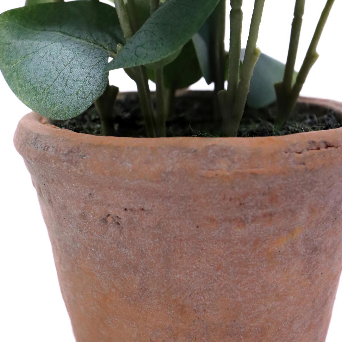 KUNSTPFLANZE Eucalyptus Grün B: 20cm - Bronzefarben/Grün, MODERN, Kunststoff (20/48/20cm) - MID.YOU