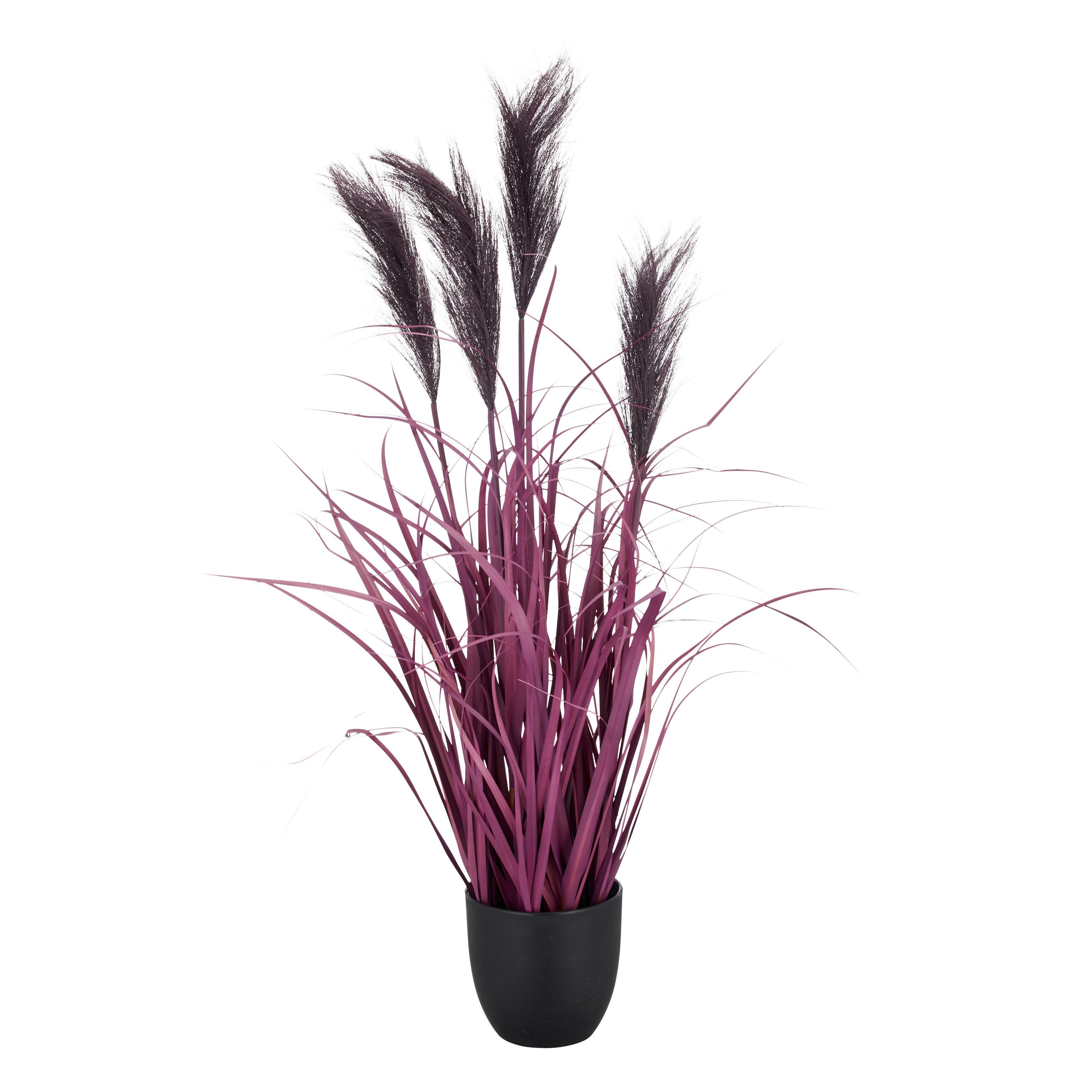 Umelá rastlina PAMPASGRAS I - lila/čierna, Basics, plast (13,5/80cm) - Mömax