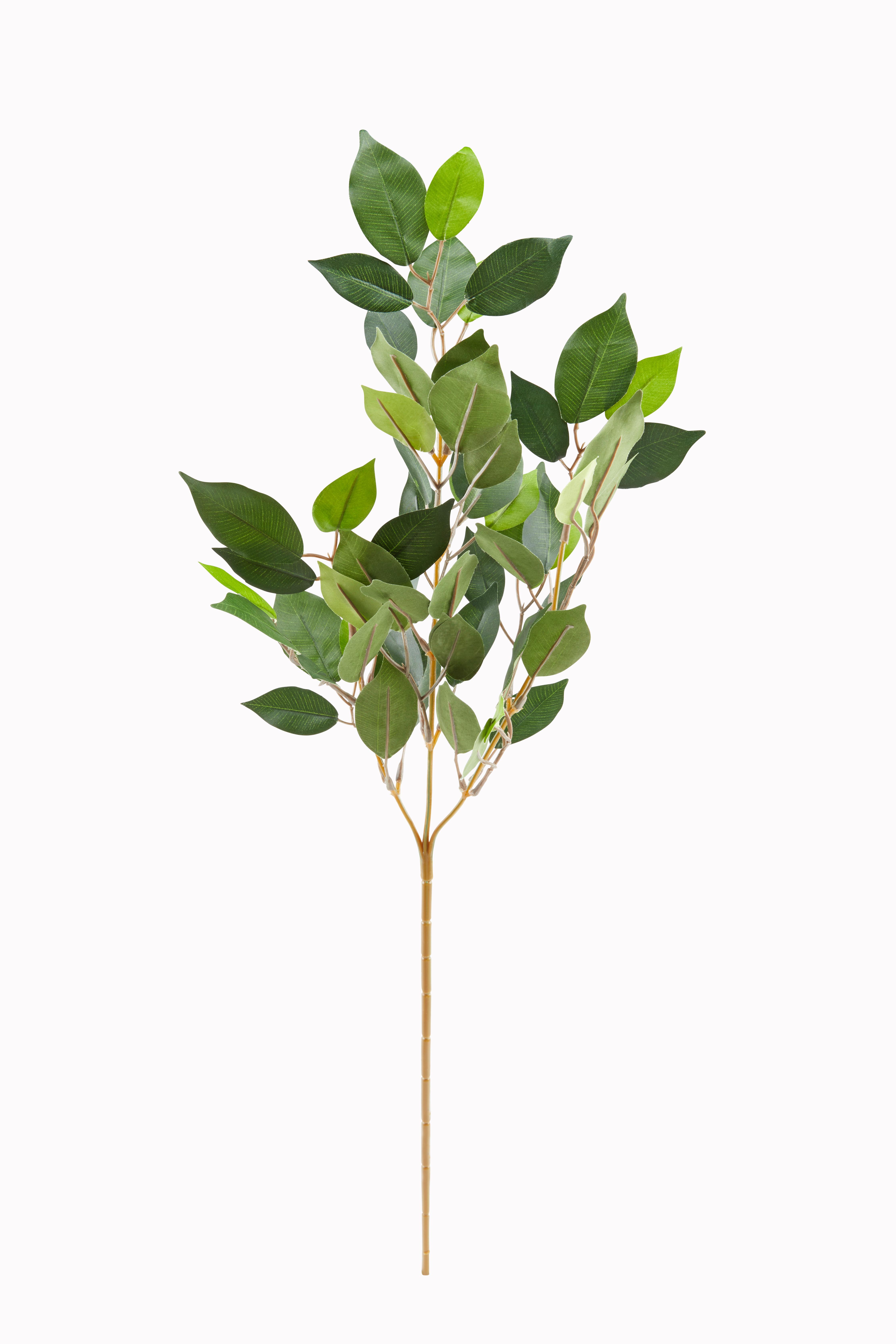 Kunstpflanze Frank - Braun/Grün, MODERN, Kunststoff (70/8/4cm) - Luca Bessoni