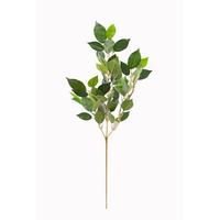 Kunstpflanze Frank - Braun/Grün, MODERN, Kunststoff (70/8/4cm) - Luca Bessoni