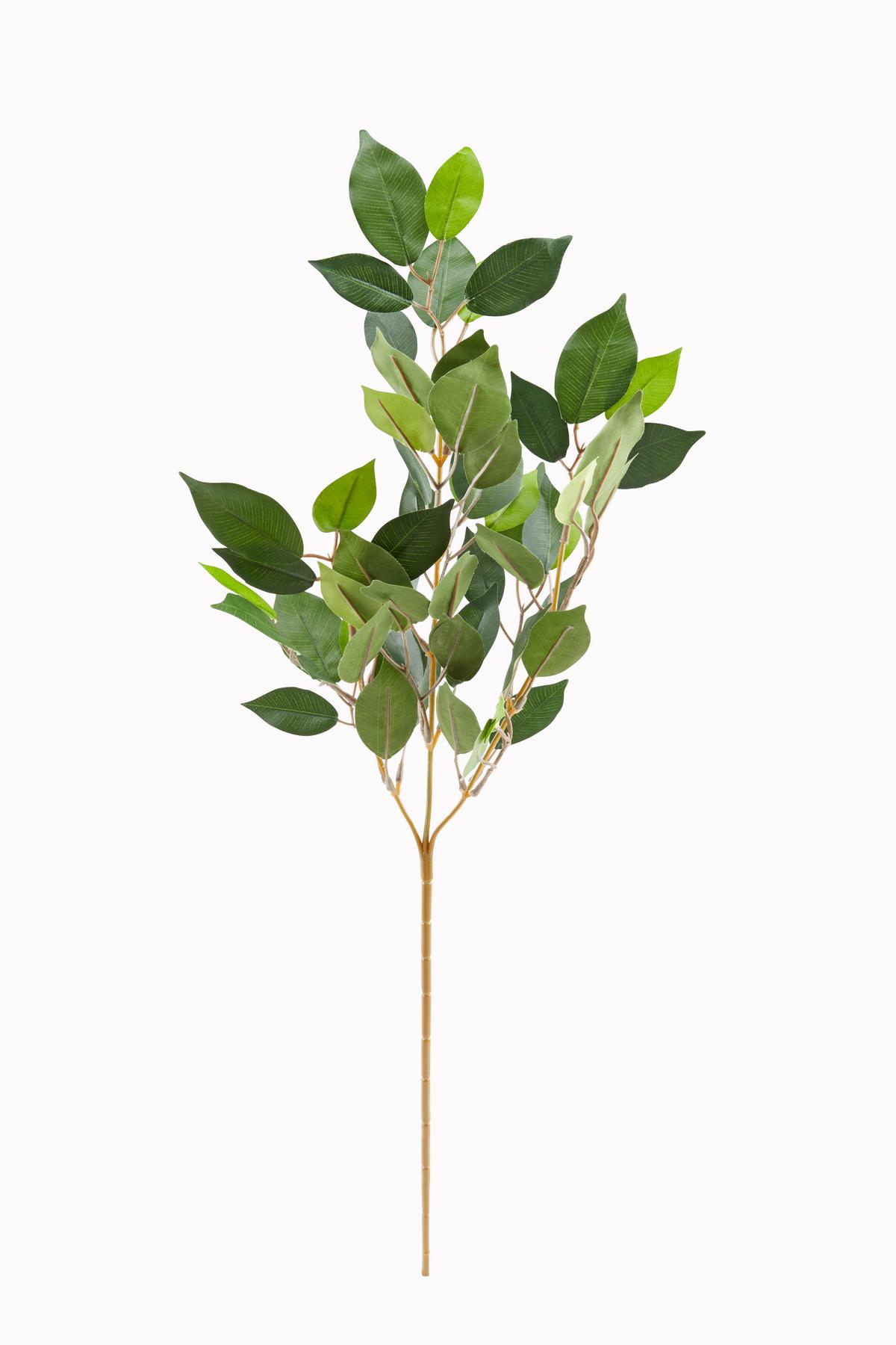 Kunstpflanze Frank - Braun/Grün, MODERN, Kunststoff (70/8/4cm) - Luca Bessoni