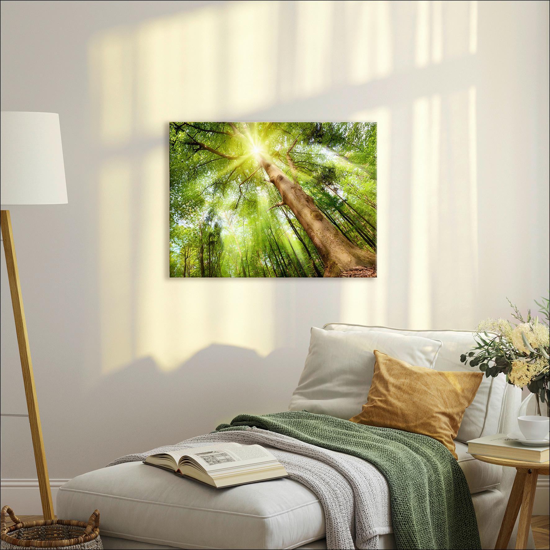 Leinwandbild Sonnenwunder Baum-Motiv Grün/Gelb 77x57 cm - Braun/Grün, MODERN, Holzwerkstoff (77/57cm)