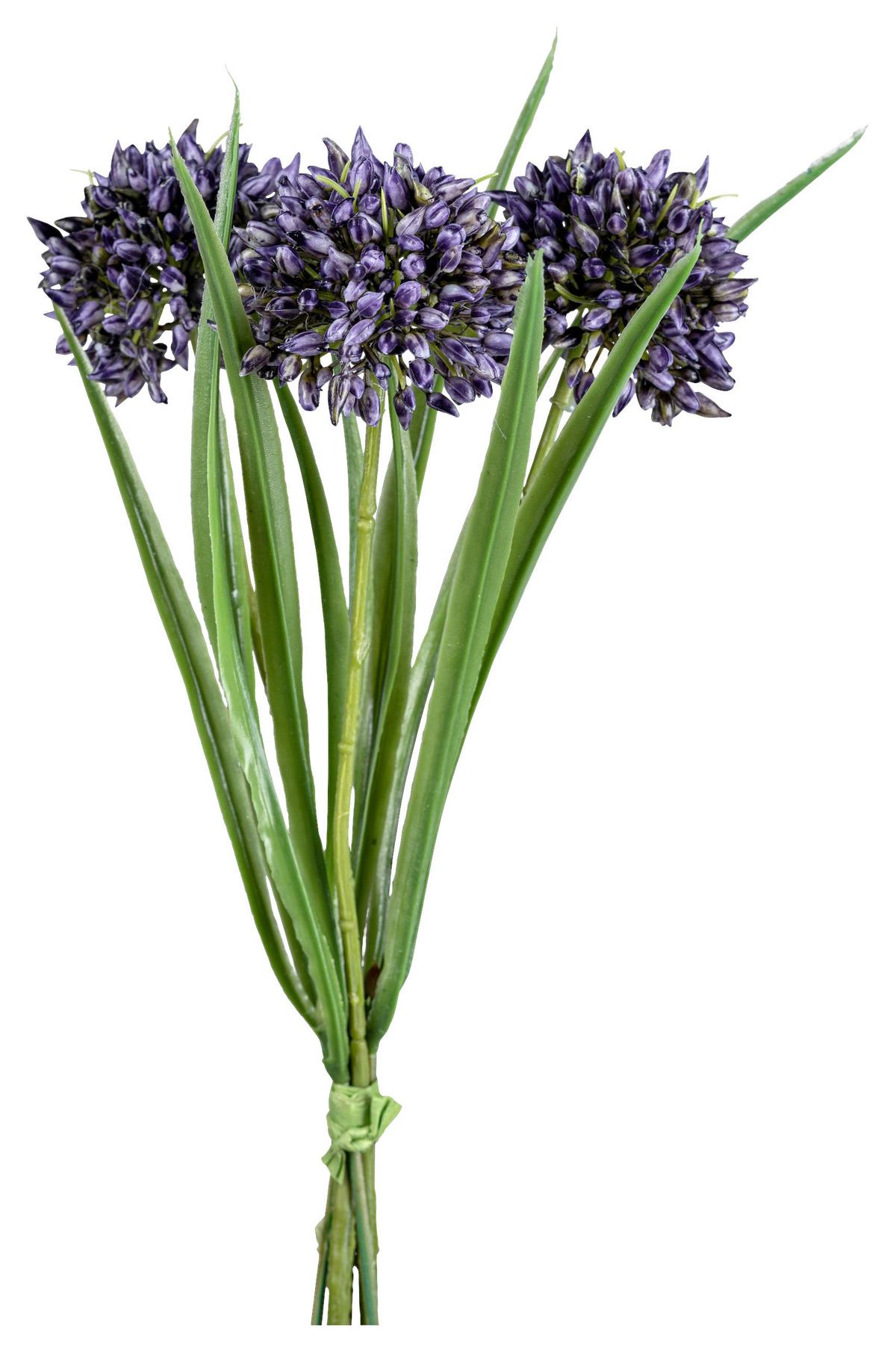 UMĚLÁ ROSTLINA ALLIUM I -PAZ- - zelená/fialová, Konvenční, plast (28cm) - Modern Living