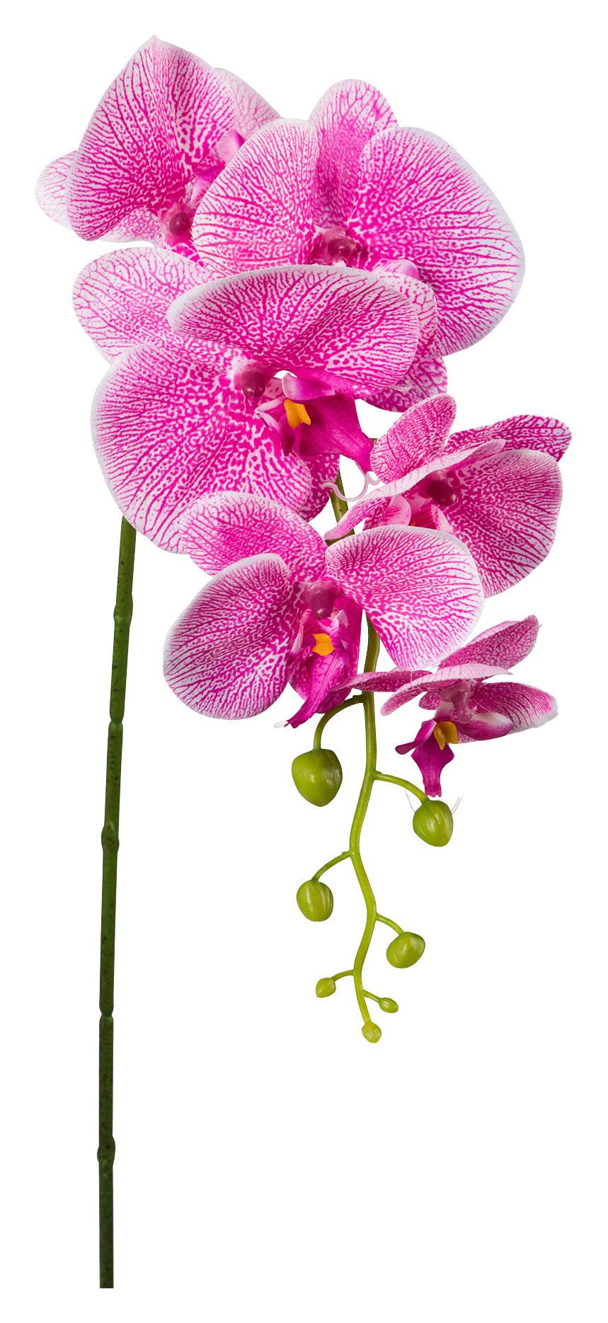 Kunstpflanze Orchidee Rosa L: 86 cm, Ria - Pink/Grün, Natur, Kunststoff (86cm)