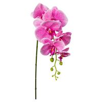Kunstpflanze Orchidee Rosa L: 86 cm, Ria - Pink/Grün, Natur, Kunststoff (86cm)