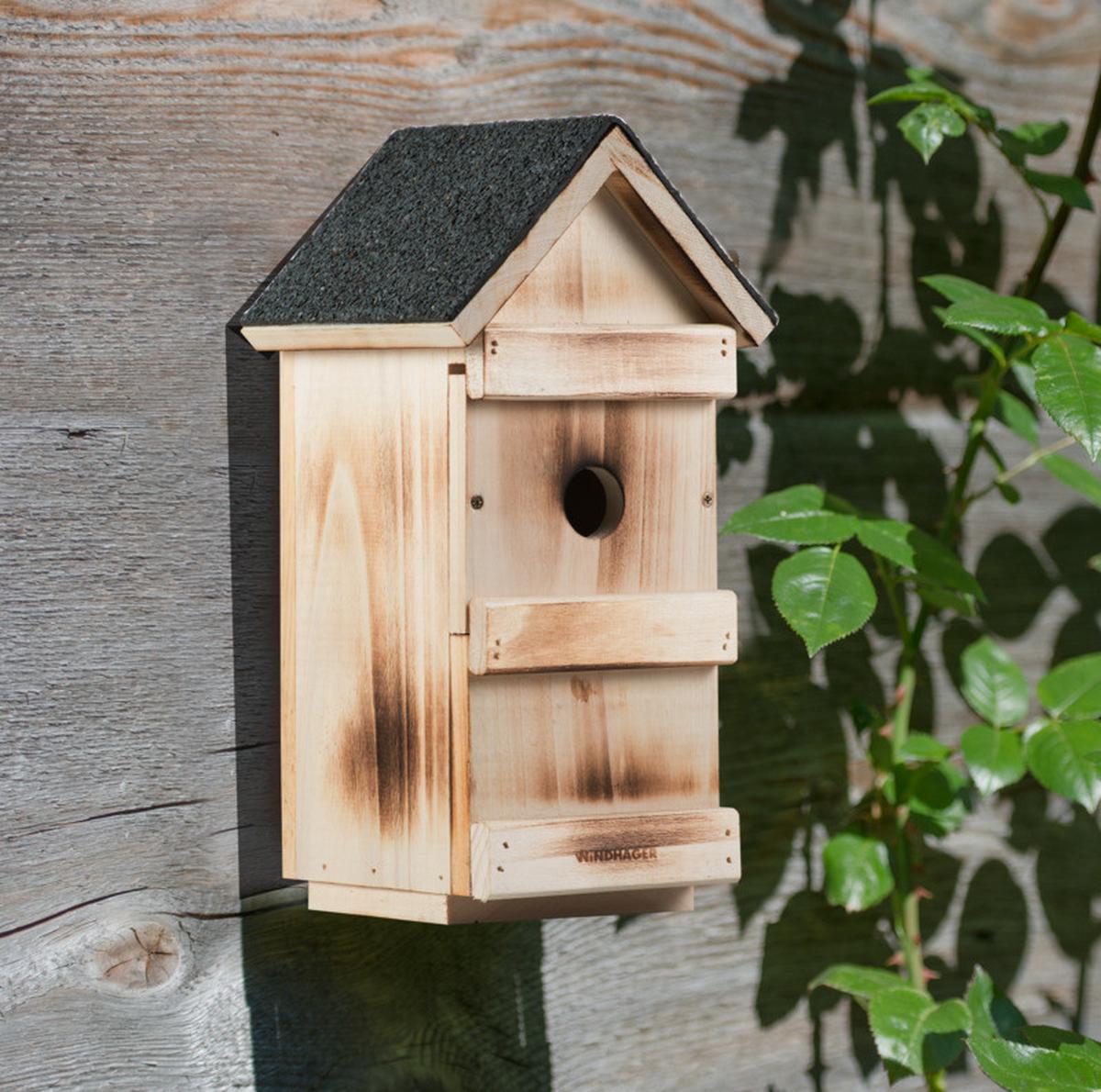 Nistkasten 3 In 1 Naturfarben - Naturfarben, Basics, Holz (15/31/16cm)