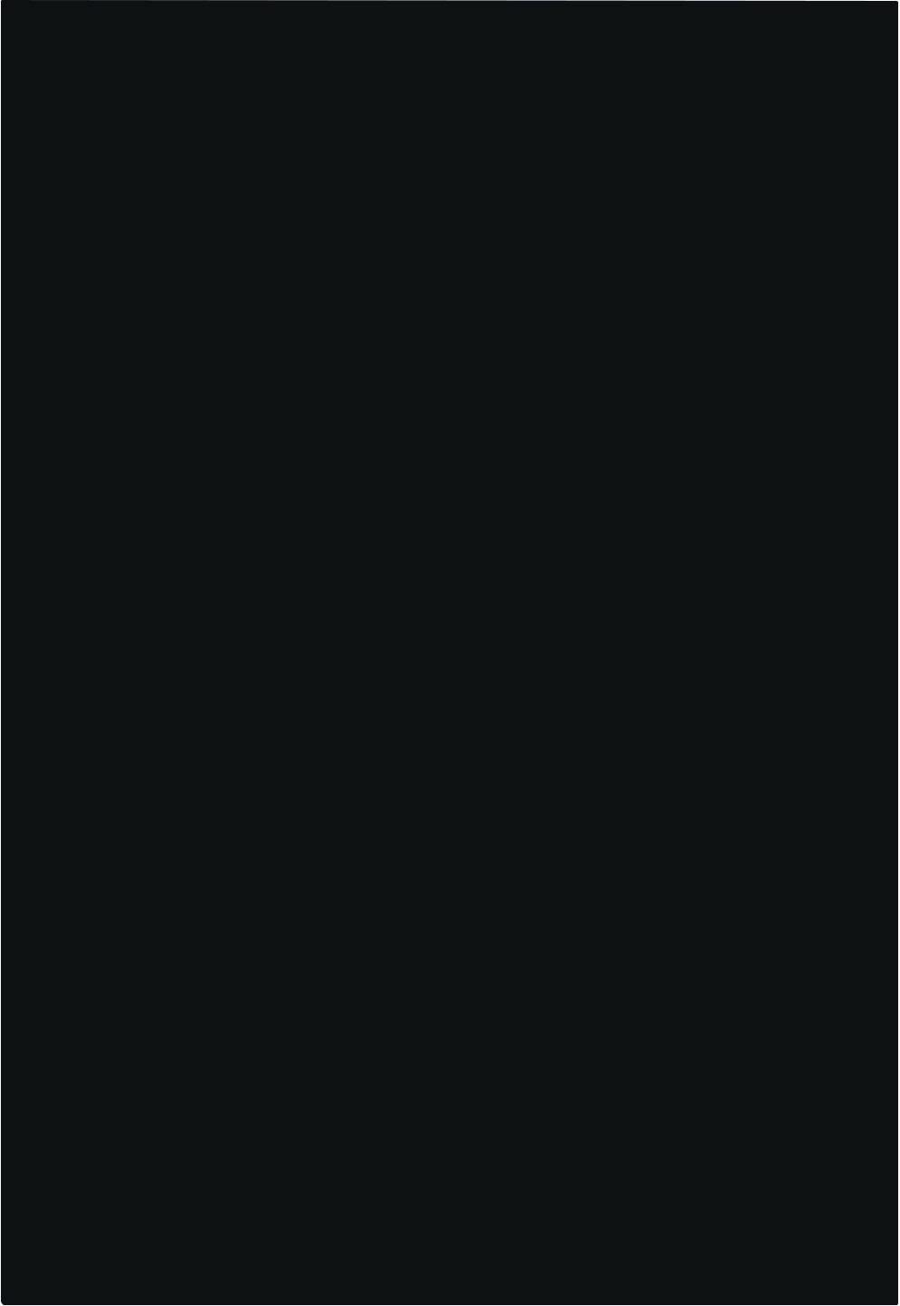 Front: Schwarz Premium Matt Front Sidney - Schwarz, MODERN - Vertico