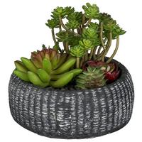 Kunstpflanze Sukkulenten Anthrazit/Grün, 16 cm - Anthrazit/Grün, Design, Keramik/Kunststoff (16cm) - P & B
