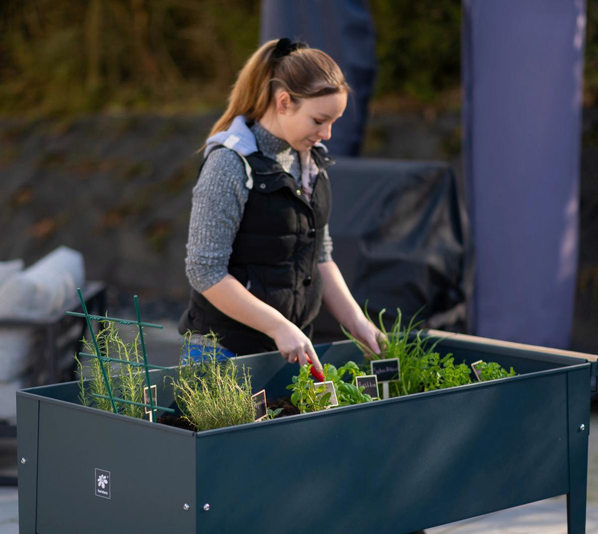 Hochbeet Stahl Swivel mit Ablagen 60/80/120 cm - Anthrazit, Basics, Metall (60/80/120cm)