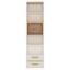 Regál Amazon - farby dubu/biela, Moderný (48/191/40cm) Regál Amazon - farby dubu/biela, Moderný (48/191/40cm)