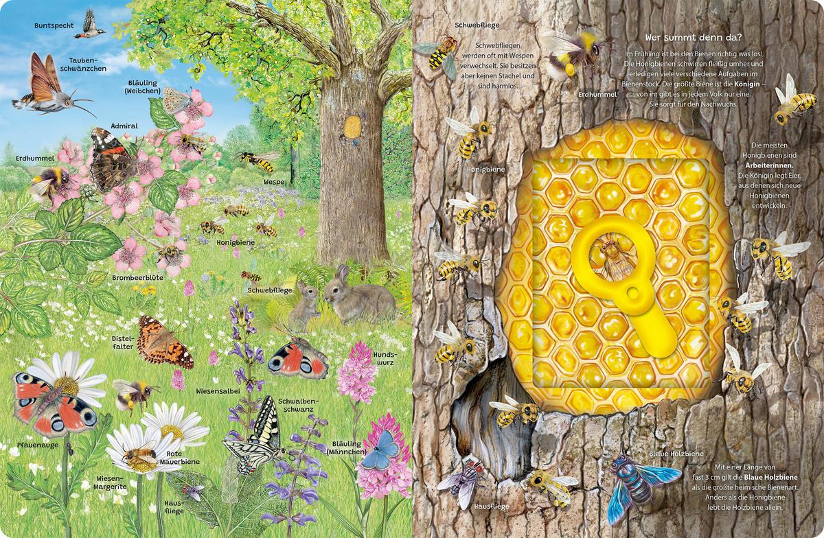 BUCH LUPEN-WIMMELBUCH WALD - Multicolor, Basics, Papier (24,5/32/1,4cm)