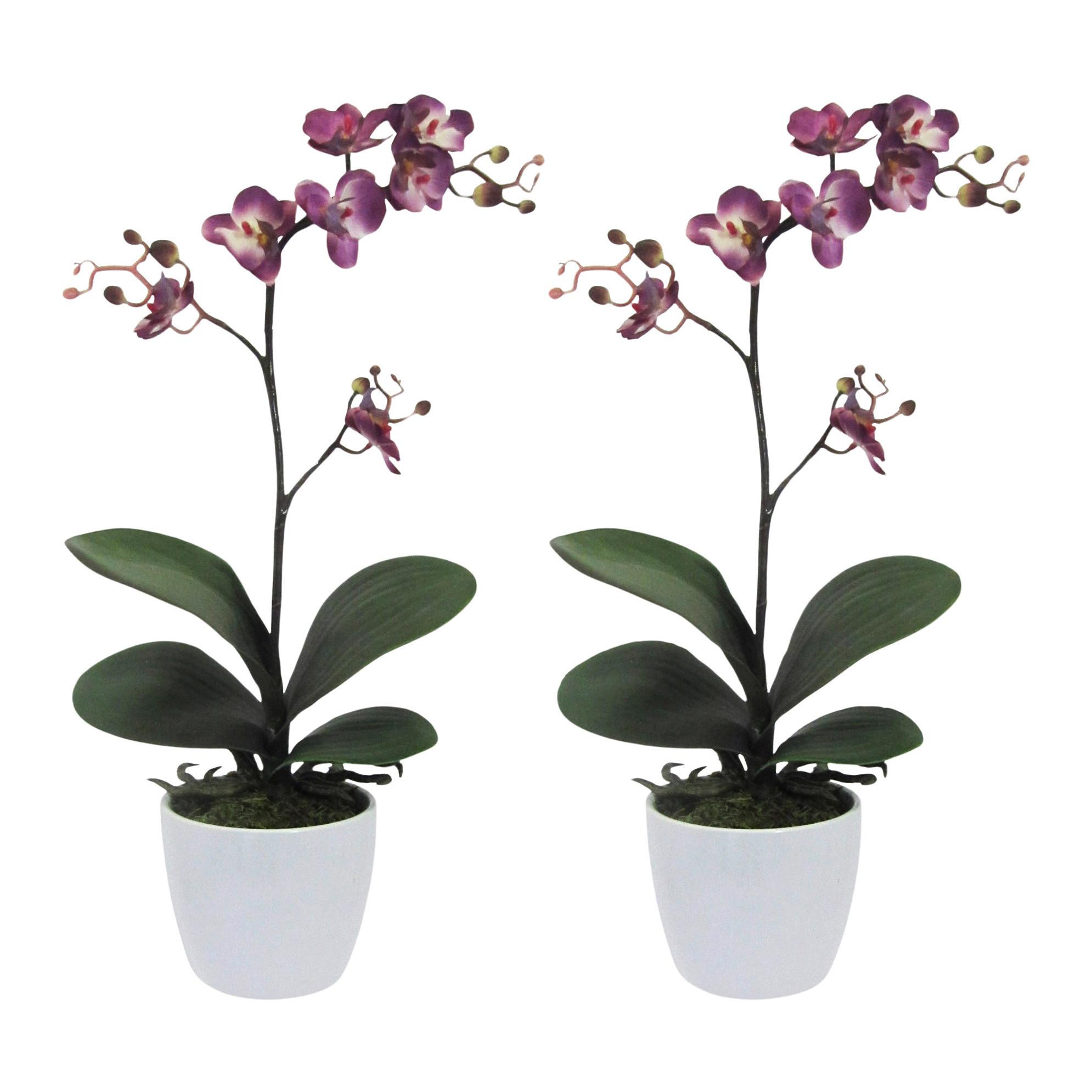 Kunstpflanze Orchideen Lila, Topf: Weiß, H: 55 cm - Lila/Weiß, Design, Keramik/Kunststoff (55cm) - P & B