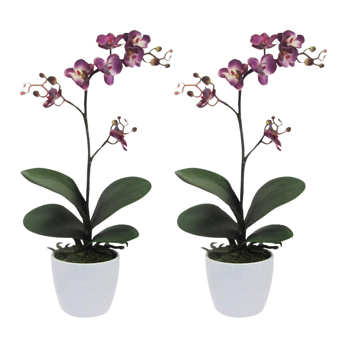 Kunstpflanze Orchideen Lila, Topf: Weiß, H: 55 cm - Lila/Weiß, Design, Keramik/Kunststoff (55cm) - P & B