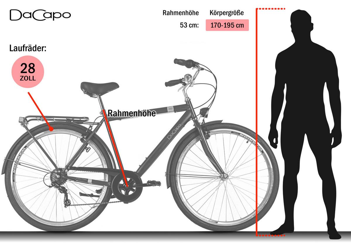 Trekkingrad Herren 28 Zoll - Anthrazit, Basics, Metall