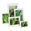 Cliprahmen Levi, 10,5x15cm - Klar, KONVENTIONELL, Glas (10,5/15cm) - Homezone Cliprahmen Levi, 10,5x15cm - Klar, KONVENTIONELL, Glas (10,5/15cm) - Homezone