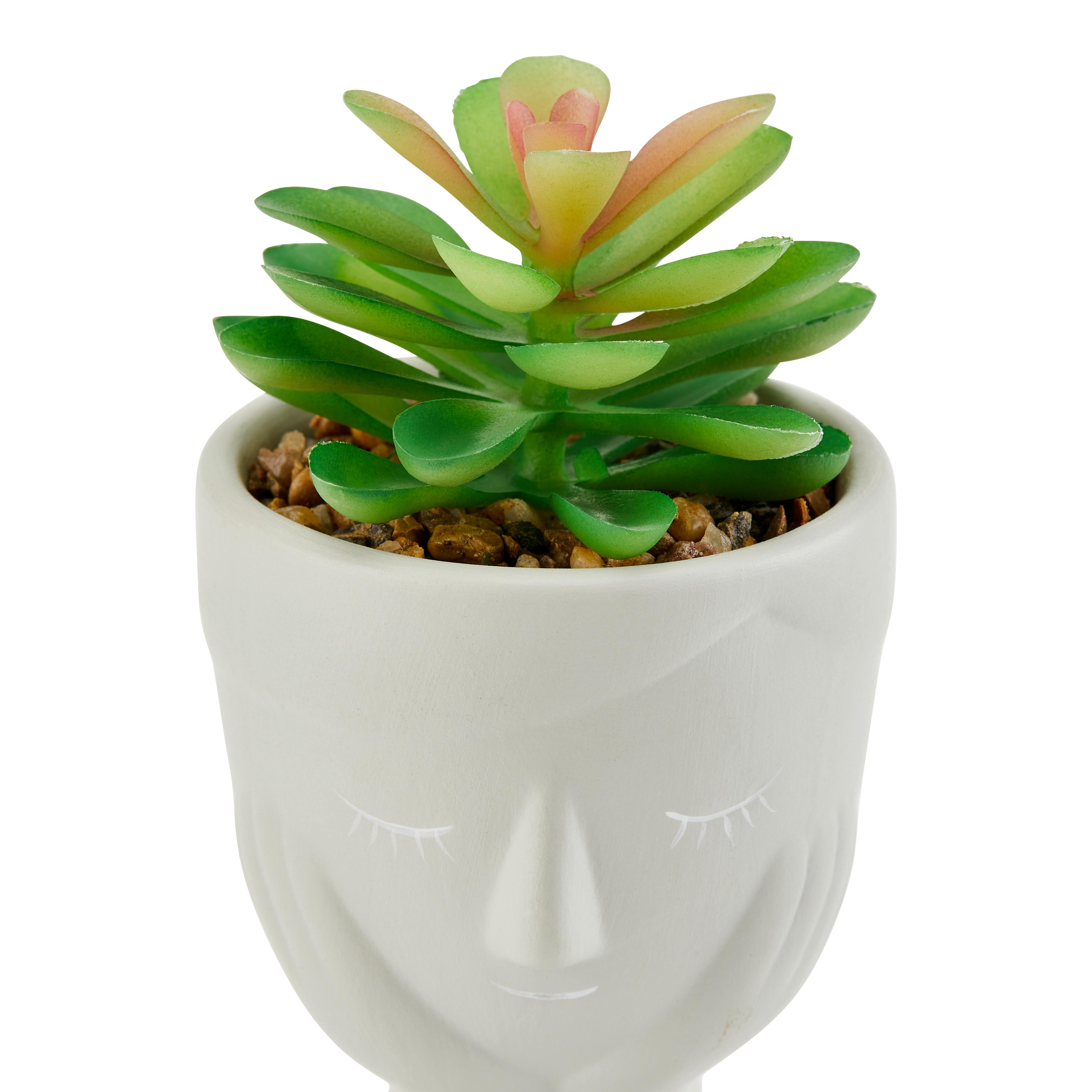 Dekofigur Pflanze H: 14 cm Keramik/Kunststoff für Indoor - Grau/Grün, MODERN, Keramik/Kunststoff (6,5/14cm) - Luca Bessoni