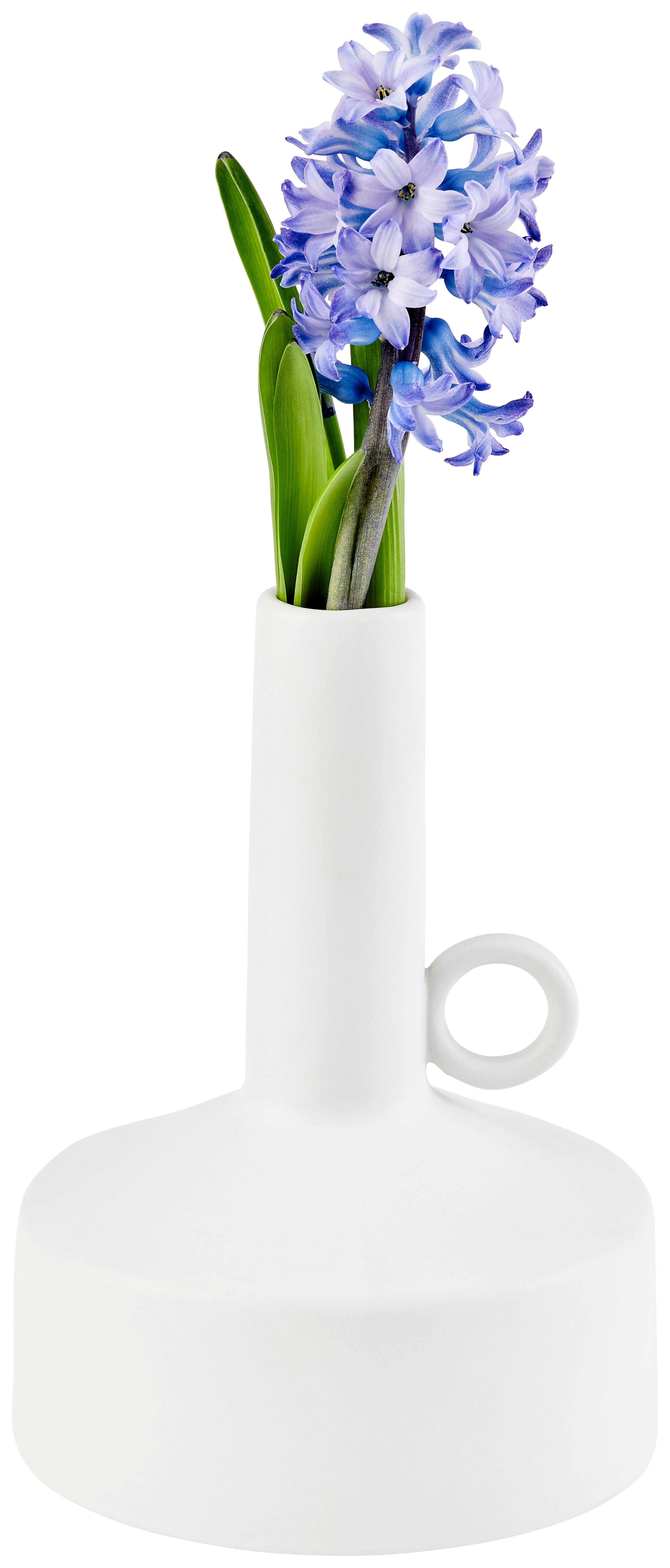 Vase Eliott Bauchig Steingut Weiß H: 19,2 cm - Weiß, Basics, Keramik (14/19,2cm) - Luca Bessoni