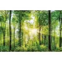 Obraz na plátne DESTENY - lesná zelená, Basics, drevo (150 cm/100 cm/3 cmcm) - Mömax