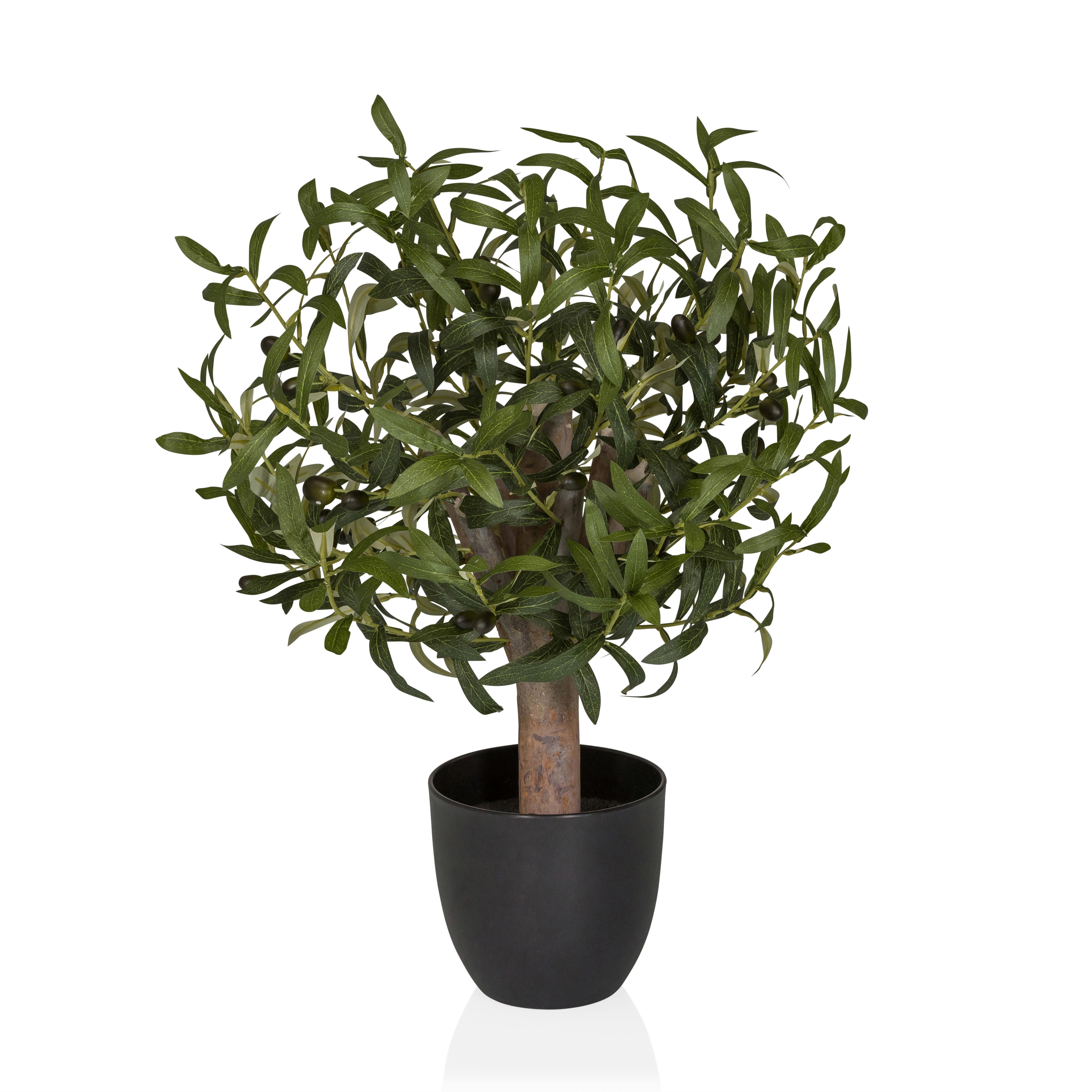 KUNSTPFLANZE Olive Grün B: 45cm - Schwarz/Braun, MODERN, Kunststoff (45/70/45cm) - MID.YOU