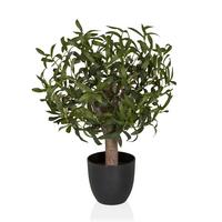 KUNSTPFLANZE Olive Grün B: 45cm - Schwarz/Braun, MODERN, Kunststoff (45/70/45cm) - MID.YOU