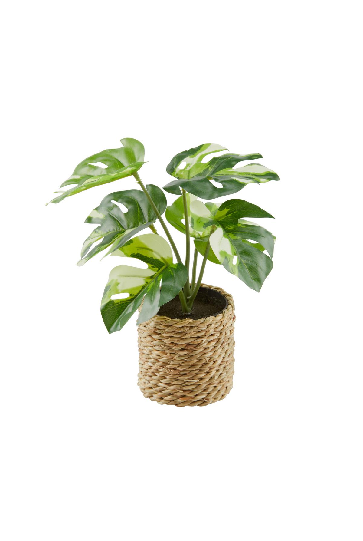 Kunstpflanze Kerstin - Naturfarben/Grün, MODERN, Naturmaterialien/Kunststoff (10/22cm) - Luca Bessoni