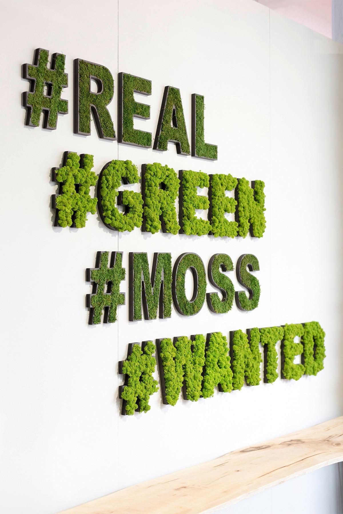 Moosbild Grün B: 25 cm - Schwarz/Grün, Basics, Naturmaterialien/Holz (25/17/4cm)