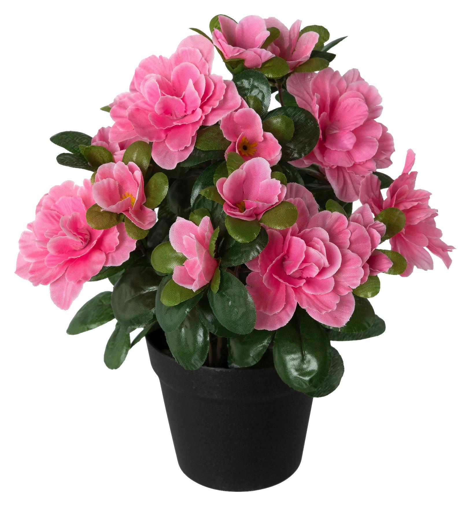 Kunstpflanze Azalee Bunt L: 25 cm, Ines - Magenta/Rosa, Basics, Kunststoff (25cm)