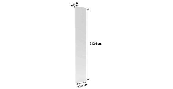 Spiegeltür Unit B: 45,3 cm Klarspiegel/Alufarben - Alufarben, MODERN, Holzwerkstoff (45,3/232,6/1,8cm) - Ondega