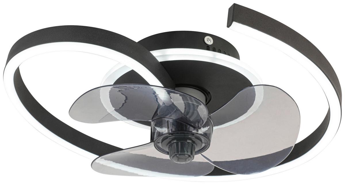 Deckenventilator Zana - Transparent/Schwarz, MODERN, Kunststoff/Metall (40/13cm) - Luca Bessoni