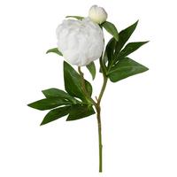 Umelý kvet pivonka PEONIE I -PAZ- - biela/zelená, Basics, kov/textil (46cm) - Mömax