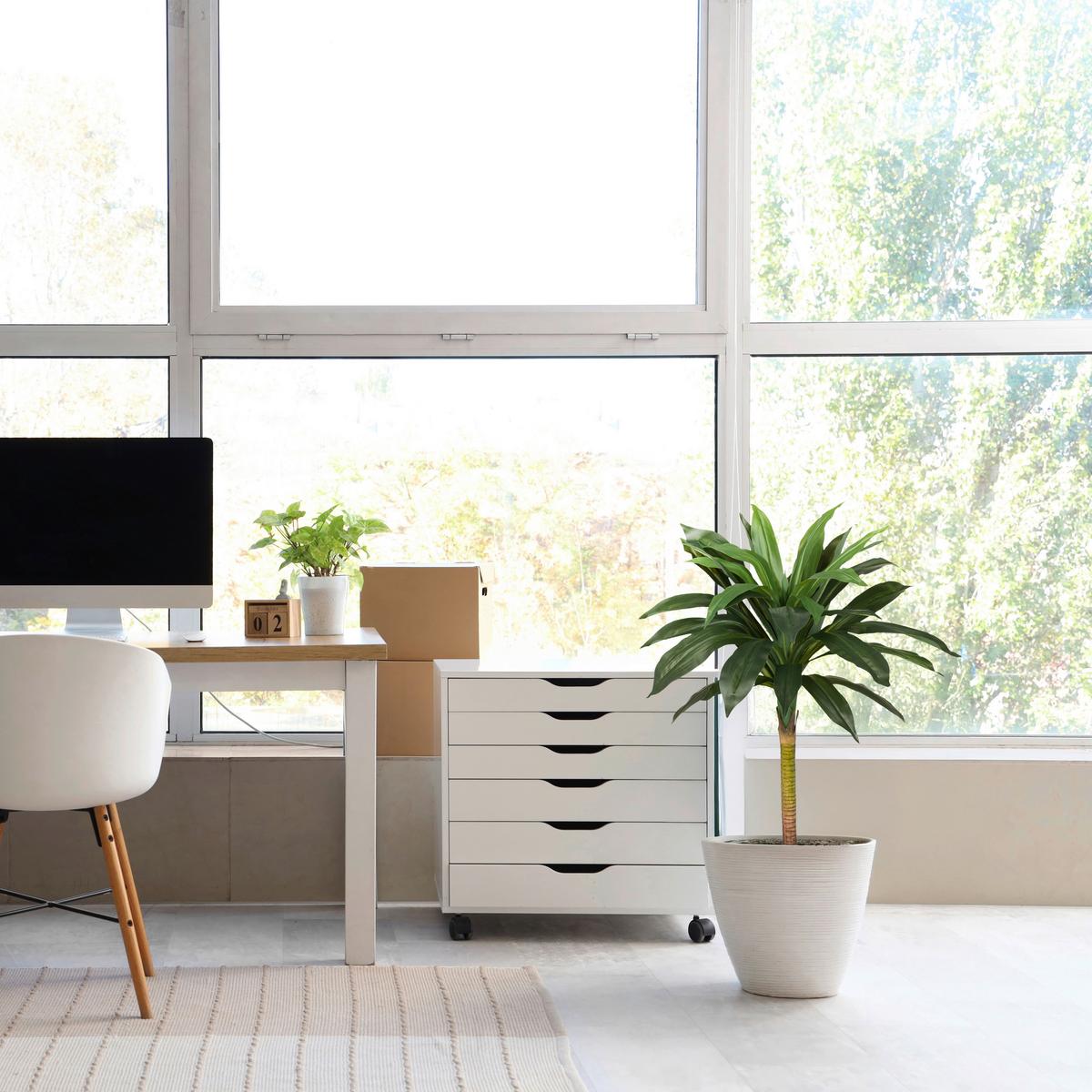 Kunstpflanze Grün/hellgrün/schawrz B: 33 Cm - Schwarz/Hellgrün, MODERN, Kunststoff (33/85/33cm) - MID.YOU