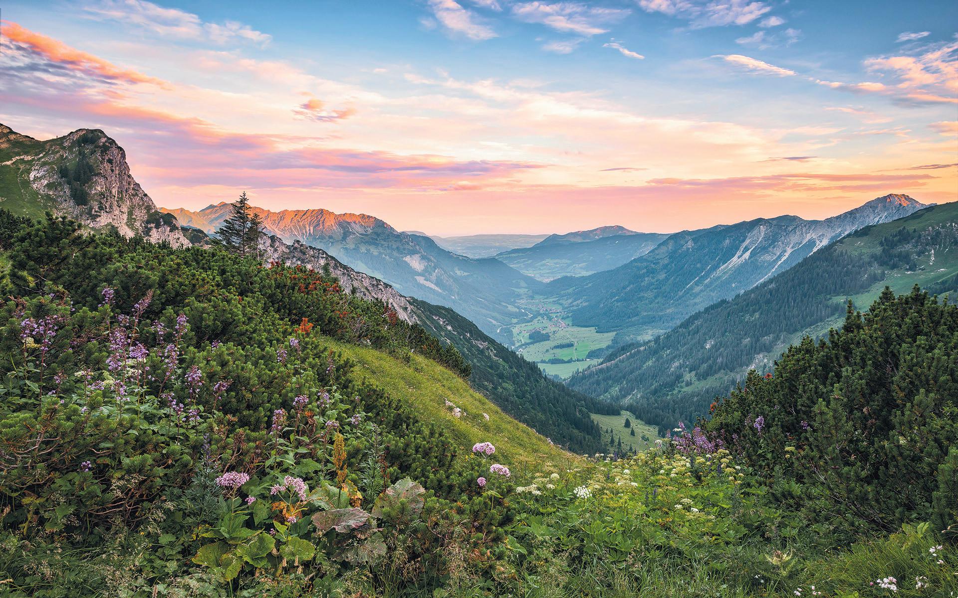 Vliestapete Sh066-Vd4 Alps - Natur (400/250cm)