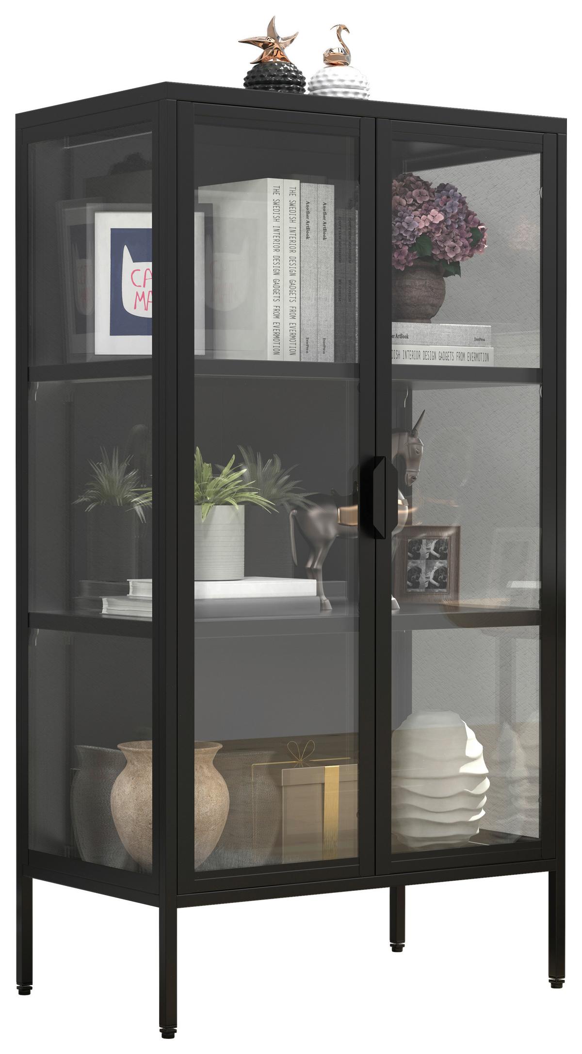 Vitrine Flako Schwarz B: 60 Cm - Transparent/Schwarz, Design, Glas/Metall (60/110/35cm) - MID.YOU