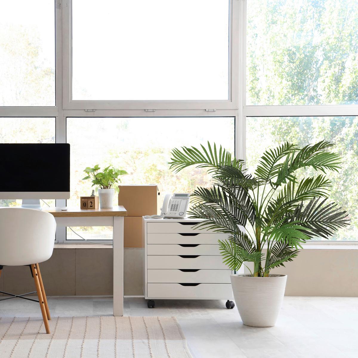 Kunstpflanze Grün/Schwarz B: 64 cm - Schwarz/Grün, MODERN, Kunststoff (64/150/60cm) - MID.YOU