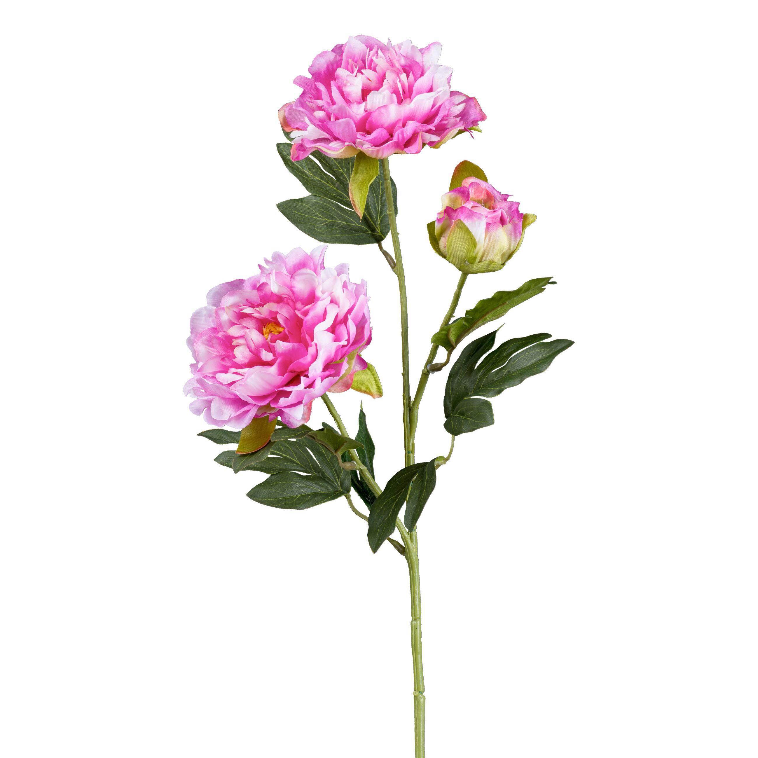 Kunstpflanze Marie - Kirschrot/Grün, Basics, Kunststoff (63cm)