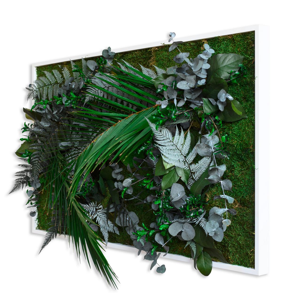 Moosbild Moos Grün B: 100 cm - Weiß/Grün, Basics, Naturmaterialien/Holz (100/60/18-22cm)