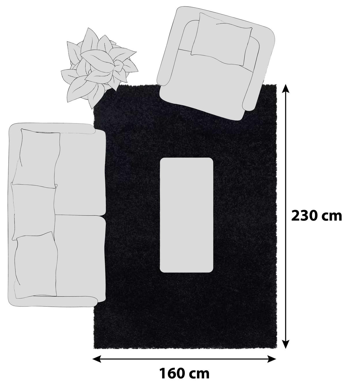 Hochflor Teppich Schwarz Naturfaser Sydney 160x230 cm - Schwarz, Basics, Textil (160/230cm)