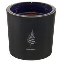 Svíčka ve skle Candle, ca 64 h. - černá, parafín/sklo (12/12cm) - Mömax