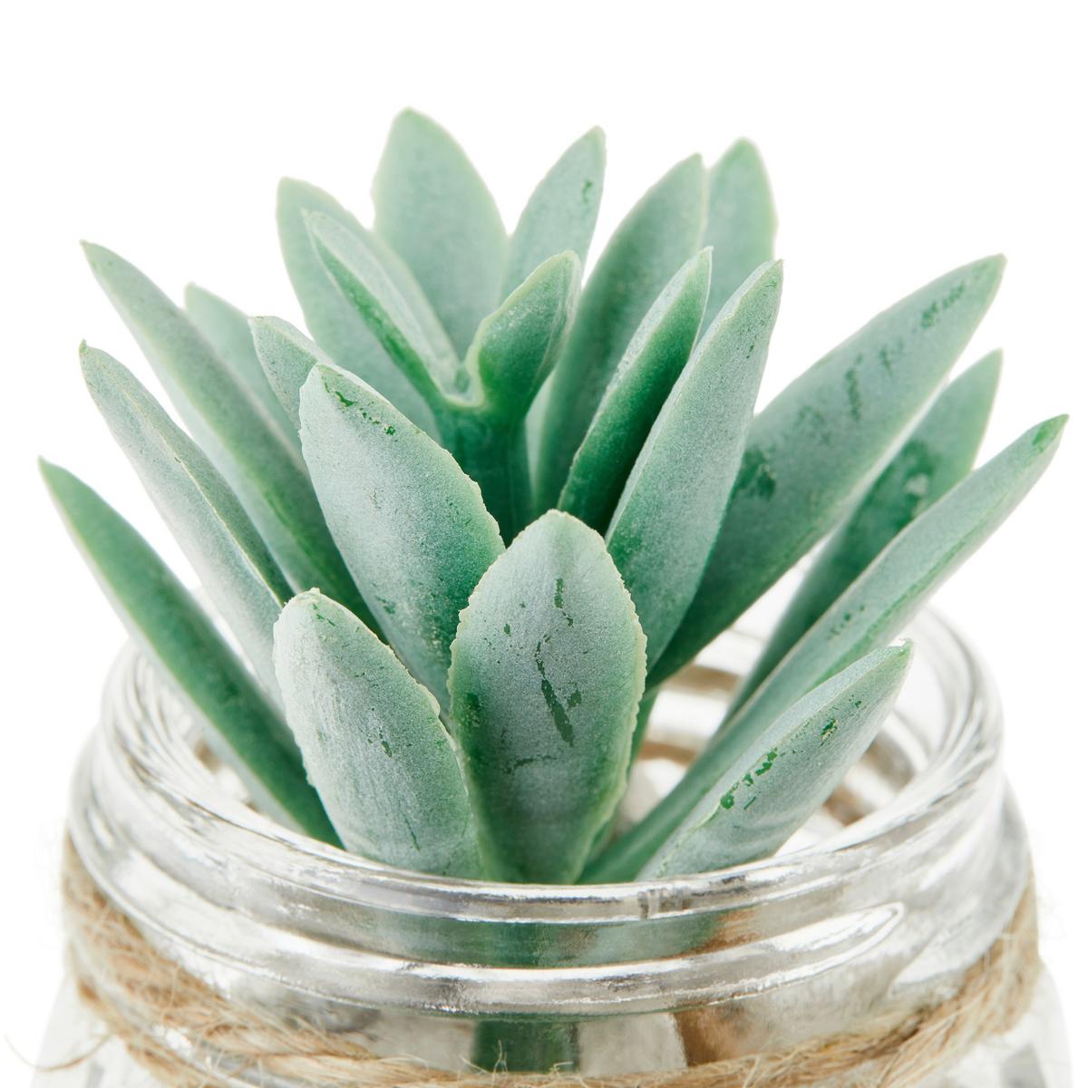 Kunstpflanze Sukkulente Grün L: 8,5 Cm, Haviva - Klar/Grau, MODERN, Glas/Naturmaterialien (5,1/8,5cm) - Luca Bessoni