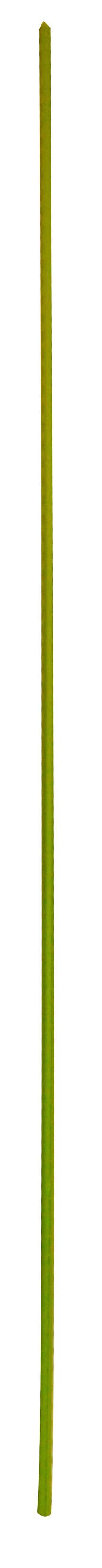 Növényfuttató Növényfuttató Zöld - zöld, Basics, műanyag/fém (120cm)