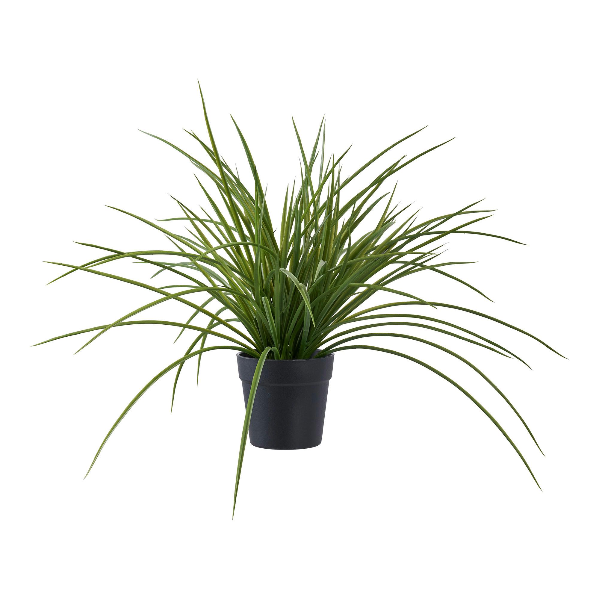 Kunstpflanze Grass Grün B: 51 cm - Grün, Design (51/45/51cm)