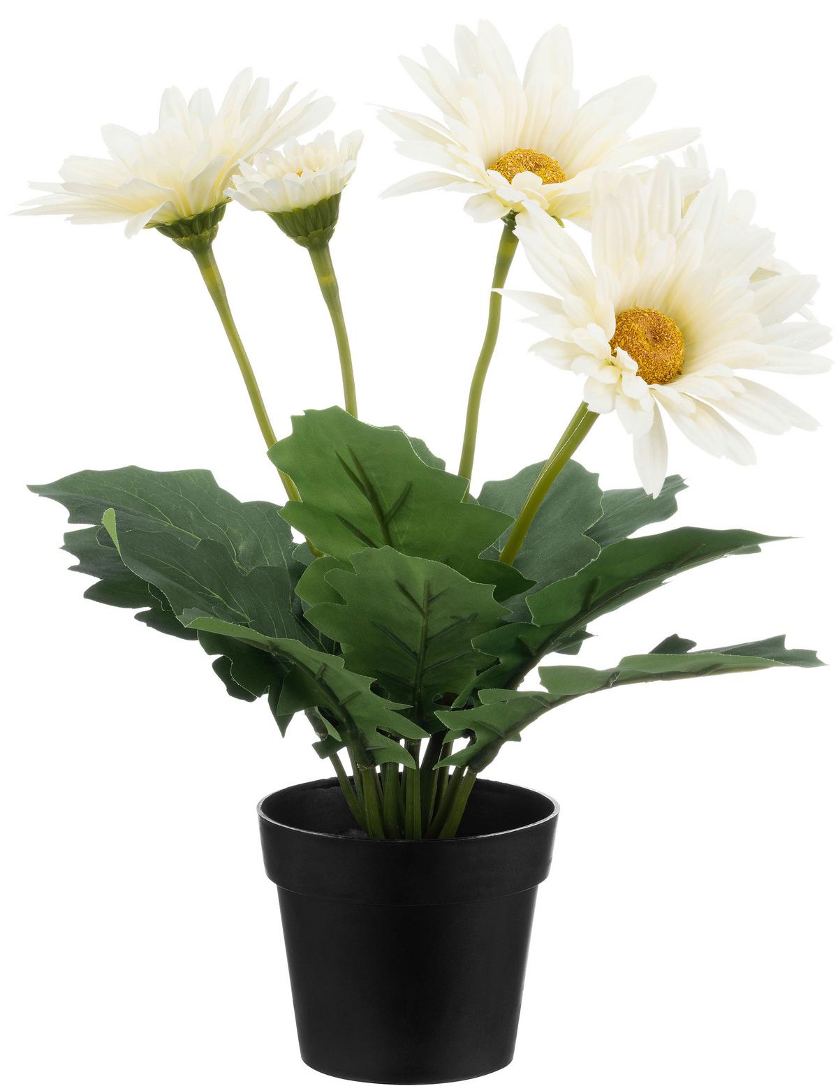 Dekoblume Anita - Elfenbein/Pink, KONVENTIONELL, Kunststoff (10/30cm) - Luca Bessoni